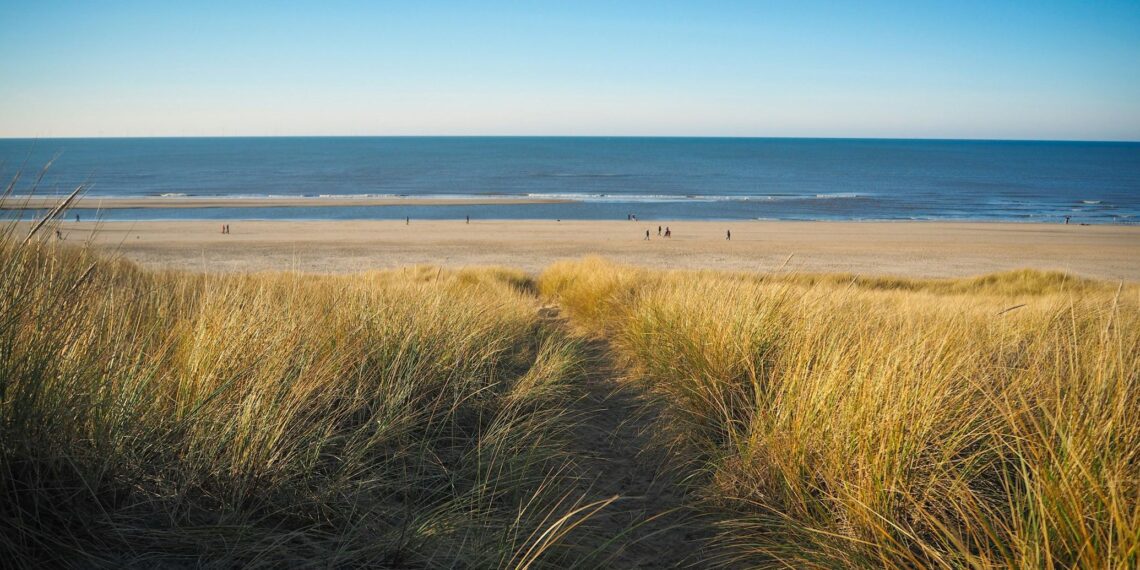 Nederlandse stranden