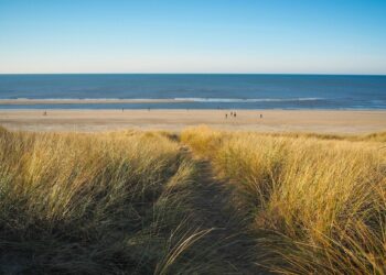 Nederlandse stranden