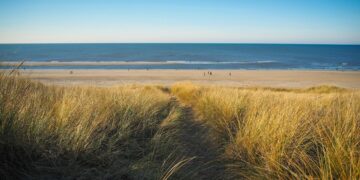 Nederlandse stranden