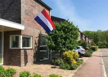 Reality-tv in Nederland