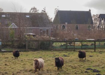 Soaplocaties Nederland