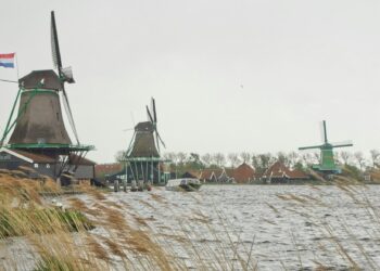 streamingdiensten Nederlandse series