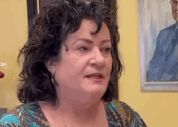 Caroline van der Plas