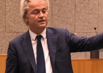 Wilders sneert naar Jetten