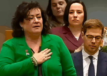 Schoenen caroline van der plas