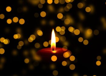 viola holt overleden