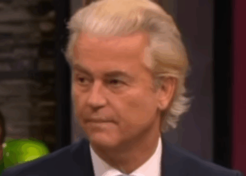 wilders vs d66