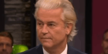 wilders vs d66